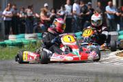 20110501_ales_agnus (3235)
